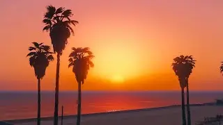 Warm Tropical Deep House Mix Instrumental 🌴 Chill & Relax 2026 | Sunset Background Vibes