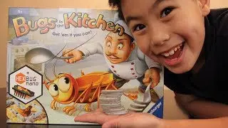 BUGS IN THE KITCHEN toy review  BEN TOYS AND GAMES