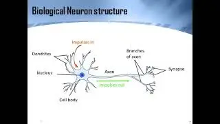 Artificial Neural Network| Perceptron Algorithm with working Example