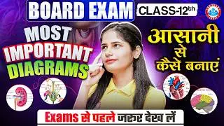Class 12 Biology Most Important Diagrams | Complete Book All Important Diagrams | UP Board Exam 2026