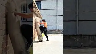 Knee Kick Practice | Safe Training Method for Beginners🔥 #KneeKick#selfdefensebasics #shorts