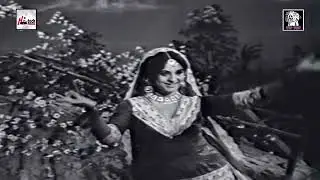 Lagyan tod nibhaeen.Firdous begum.Ijaz.Mala.Chanan Akhyan da.New edited.Must dance.