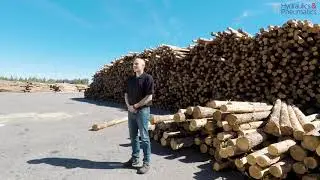 Automation in Wood Cutting by FESTO, brought to you by Ahuja Corporation Pvt. Ltd.: Official Partner