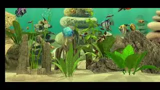 S&uuml;&szlig;wasser #fishtank w&auml;rmend entspannend #relax Heim -TV Aquarium #ambientmusic #chill  Fische Musik