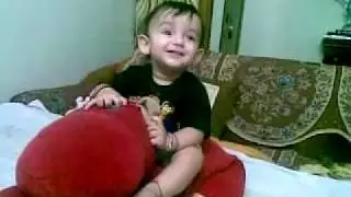 The Hippo Rider
