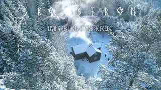 Musician and Herbalist living alone in the Heart of the Nordic Forests