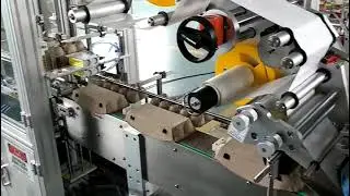 automatic egg box egg tray labeling machine-SKILT Machinery