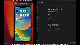 Beginners flutter introduction