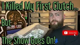 I Had My First Clutch of Ball Python Eggs! And Then I Killed Them.....