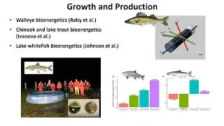Using acoustic telemetry to inform fisheries management in Lake Ontario