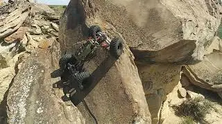 FIVE barking tires