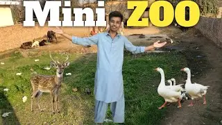 Mini zoo ka map ready hogaya 🥰ab maza ayega ❤️