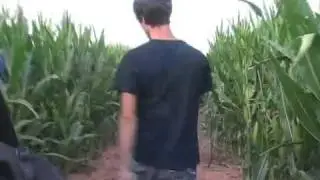 Texas Tech art student creates corn maze design