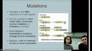 Genetic Diversity Summary