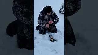 Щучка на жерлицу... #рыбалка #ловлящуки #рыбалка53