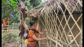 Cut down bamboo trees and make fences l Hoa Single Mom95