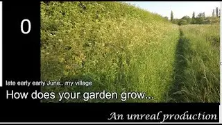 country path to Norton Bavant   my village 4th June 2023