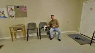 Asheville Veterinary Associates | Asheville, NC | Veterinarian