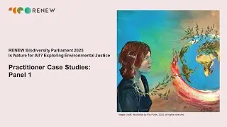 Practitioner Case Studies: panel 1