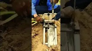 smart tool for cutting onion roots and stems #shorts