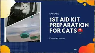 1st Aid essentials for Pets/PersiaNCare #Cat Lady