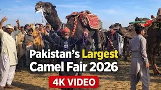 Pakistan&rsquo;s Largest Camel 🐫 🐪 Fair 2026 