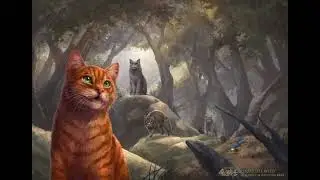 Corridors of Time Chrono Trigger (Slowed+Reverb)