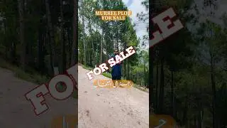 Plot for sale in Murree    #murree  #investment #realestate
