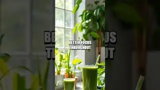 What Happens If You Add Moringa to Your Daily Routine?