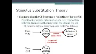 PSYC 370 Video Lecture - Stimulus Substitution Theory