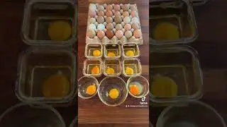 Yolk color is ultimately insignificant. #chickens #backyardchickens #foryou #foryourpage #eggs #yolk