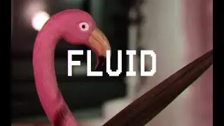 SHELZ - FLUID (music video)