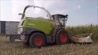 Linea Verde: Insilato mais 2015