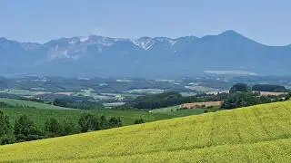 北の国から　2025夏～富良野・美瑛