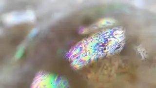 Finding Beauty in the Ordinary