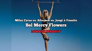 Miley Cyrus vs. Afrojack vs. Jengi & Faustix - Bel Mercy Flowers (LOWKEY Mashup)