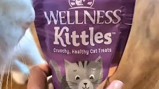 Отзыв о лакомствах для кошек Wellness Kittles: КОШКИ ОБОЖАЮТ!