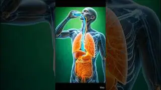 water effect in body explain 3D #3danimation #facts