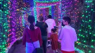 Houston Zoo Lights 2021