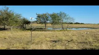 2021 Texas Dove Hunting with Shotkam