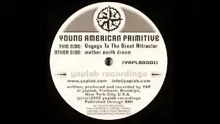 Young American Primitive - mother earth dream [YAPLAB001, 2005]