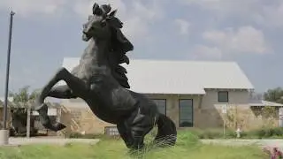 Phillips Creek Ranch