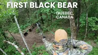 First Black Bear with a Bow | Same Tree, Two Stories | Canada Archery Hunt