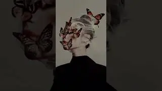 Calm Instrumental Vibes