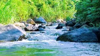 Natural River Sounds for Bedtime Calm