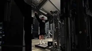Dual Standing Lateral Raise Machine 3PLXX &ndash; Sculpt Your Shoulders 💪🔥 | FLAME SPORT