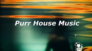 camoufly ft Yazida - 4am