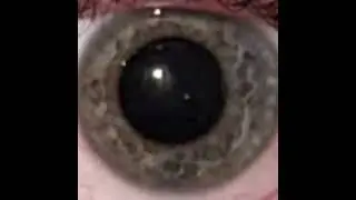 Moy Geenoy 2 [My Eye Version]