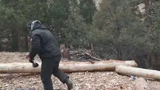 Day 58 - Moving Logs - Colorado Log Cabin Build