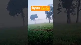 मेहनत करो | trendingshorrs | #viral #motivational #vide